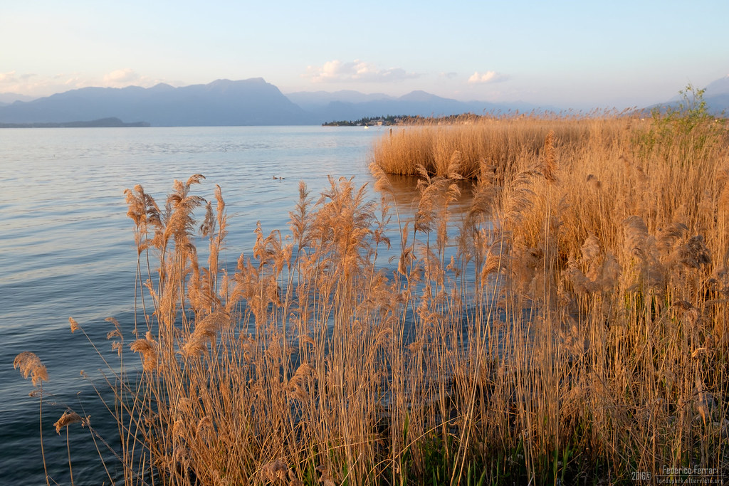 27190757541_8b1a7e4f52_b